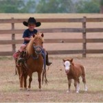 horse-and-kid-1 horse-and-kid-1