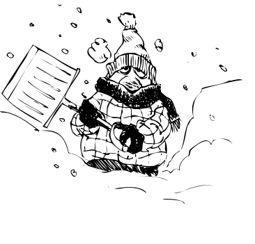 Snow Shoveling