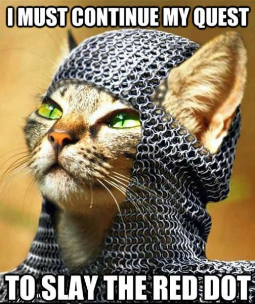 Caturday: Quest for the Red Dot