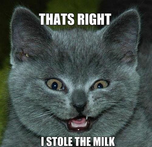 Yes, I stole the milk.