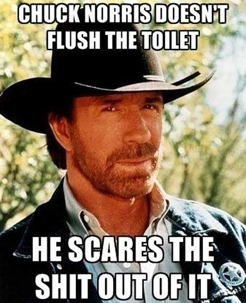 Chuck Norris Does Not Flush The Toilet