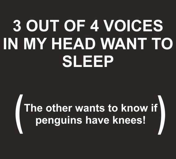 Three out of four voices in my head want to sleep, the other wants to know if penguins have knees.