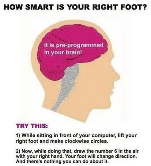 How smart is your right foot?  Relax, it's a trick question.