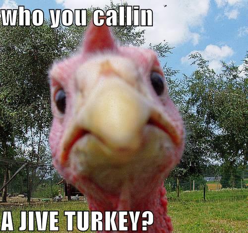 Jive turkeys and holiday attitude.