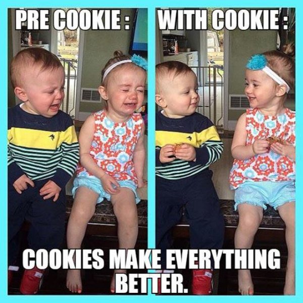 Cookies are good ... cookies make everything better.